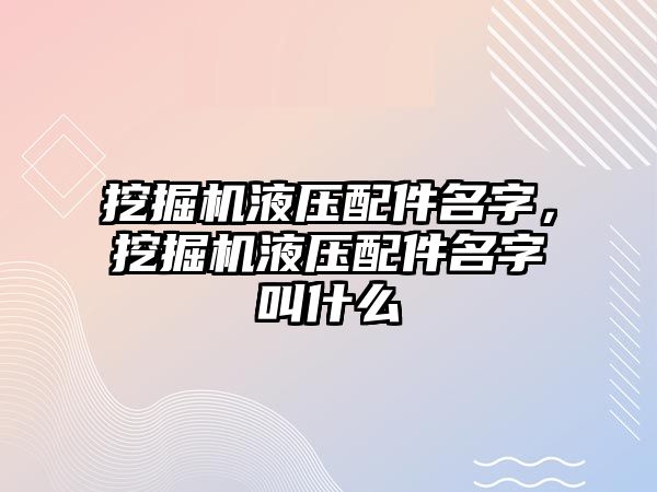 挖掘機(jī)液壓配件名字，挖掘機(jī)液壓配件名字叫什么