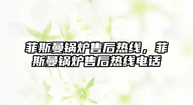 菲斯曼鍋爐售后熱線，菲斯曼鍋爐售后熱線電話