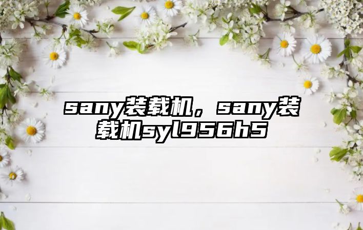 sany裝載機(jī)，sany裝載機(jī)syl956h5