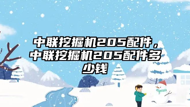 中聯(lián)挖掘機205配件，中聯(lián)挖掘機205配件多少錢