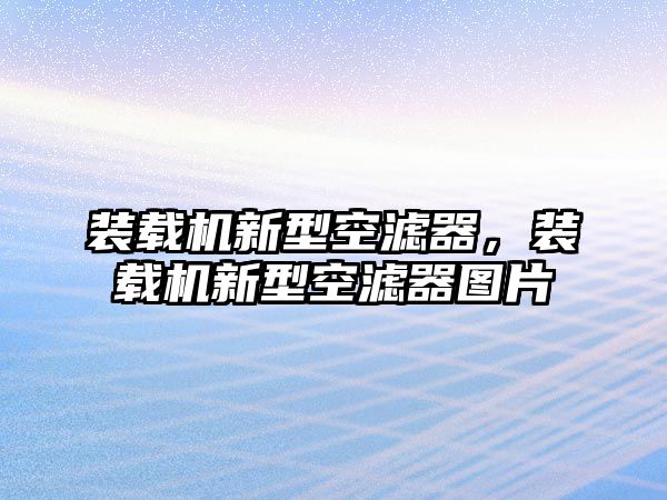 裝載機(jī)新型空濾器，裝載機(jī)新型空濾器圖片