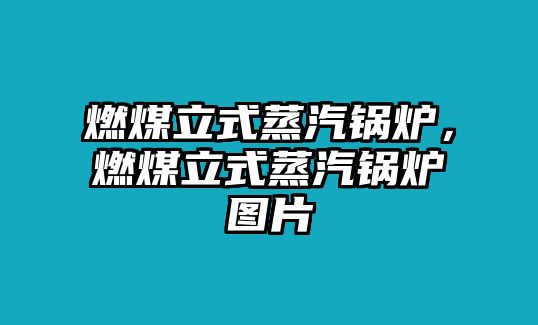 燃煤立式蒸汽鍋爐，燃煤立式蒸汽鍋爐圖片