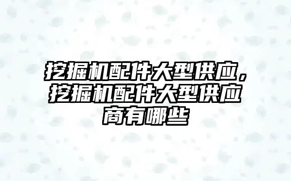 挖掘機配件大型供應(yīng)，挖掘機配件大型供應(yīng)商有哪些