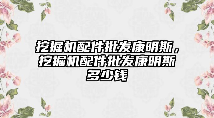 挖掘機配件批發(fā)康明斯，挖掘機配件批發(fā)康明斯多少錢