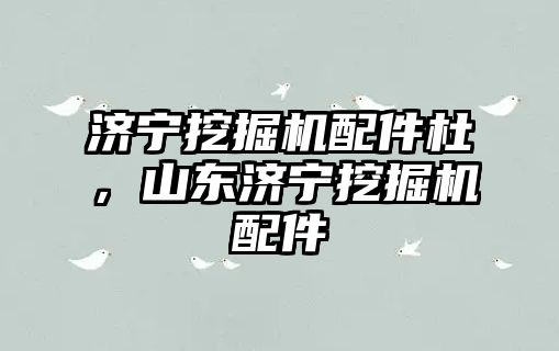 濟(jì)寧挖掘機(jī)配件杜，山東濟(jì)寧挖掘機(jī)配件