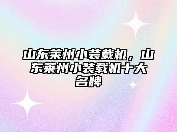 山東萊州小裝載機，山東萊州小裝載機十大名牌