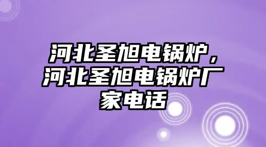 河北圣旭電鍋爐，河北圣旭電鍋爐廠家電話