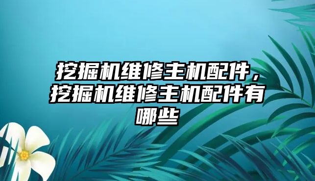 挖掘機維修主機配件，挖掘機維修主機配件有哪些