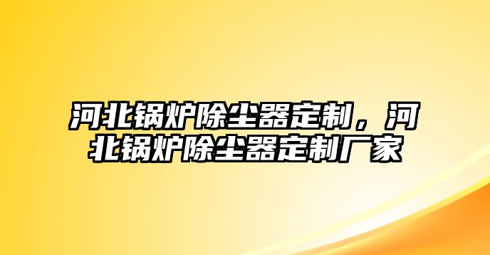 河北鍋爐除塵器定制，河北鍋爐除塵器定制廠家