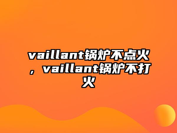 vaillant鍋爐不點(diǎn)火，vaillant鍋爐不打火