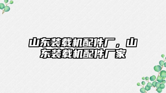 山東裝載機配件廠，山東裝載機配件廠家