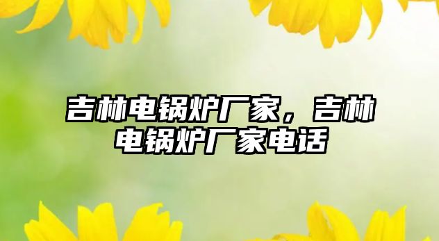 吉林電鍋爐廠家，吉林電鍋爐廠家電話