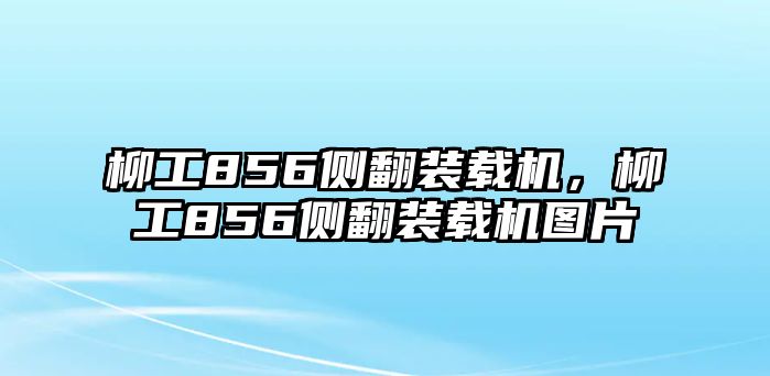 柳工856側(cè)翻裝載機，柳工856側(cè)翻裝載機圖片