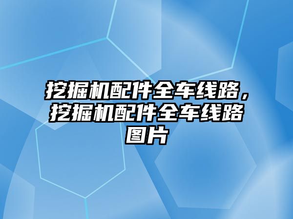 挖掘機配件全車線路，挖掘機配件全車線路圖片