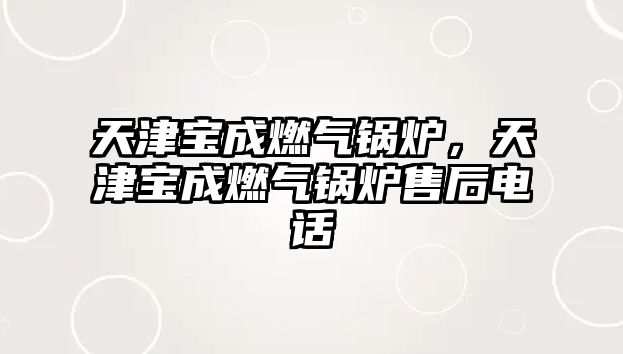 天津?qū)毘扇細(xì)忮仩t，天津?qū)毘扇細(xì)忮仩t售后電話