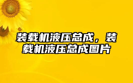 裝載機液壓總成，裝載機液壓總成圖片