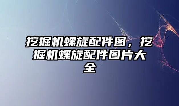 挖掘機螺旋配件圖，挖掘機螺旋配件圖片大全