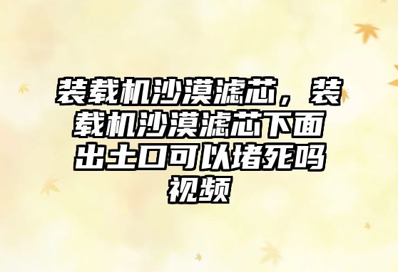 裝載機(jī)沙漠濾芯，裝載機(jī)沙漠濾芯下面出土口可以堵死嗎視頻