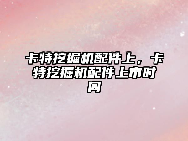 卡特挖掘機配件上，卡特挖掘機配件上市時間