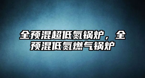 全預(yù)混超低氮鍋爐，全預(yù)混低氮燃?xì)忮仩t