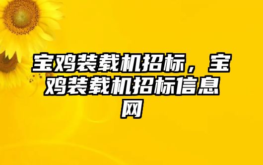 寶雞裝載機(jī)招標(biāo)，寶雞裝載機(jī)招標(biāo)信息網(wǎng)