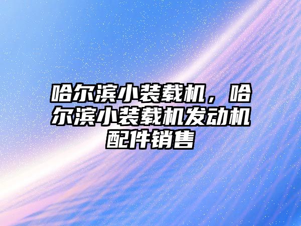 哈爾濱小裝載機，哈爾濱小裝載機發(fā)動機配件銷售