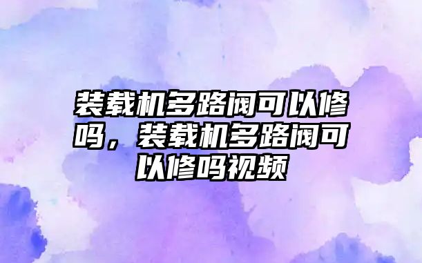 裝載機多路閥可以修嗎，裝載機多路閥可以修嗎視頻