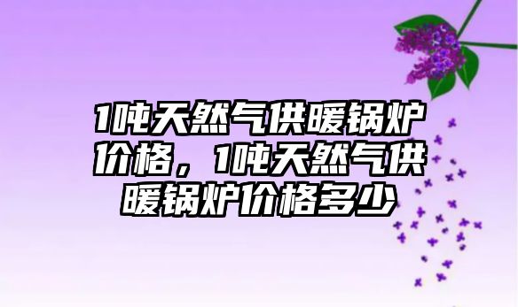 1噸天然氣供暖鍋爐價格，1噸天然氣供暖鍋爐價格多少