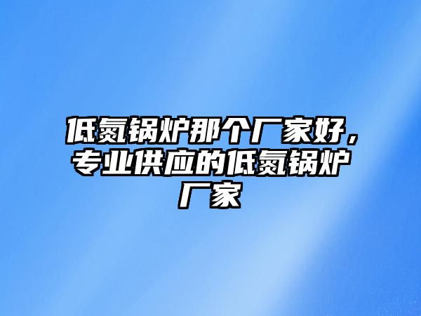 低氮鍋爐那個廠家好，專業(yè)供應的低氮鍋爐廠家