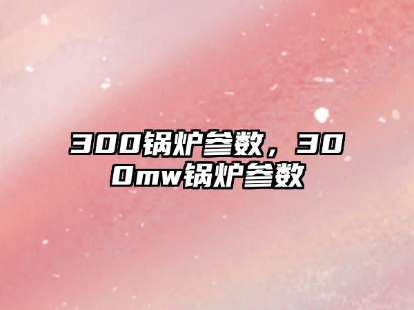 300鍋爐參數(shù)，300mw鍋爐參數(shù)