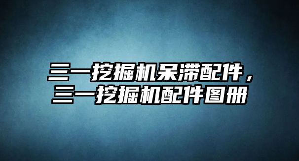 三一挖掘機(jī)呆滯配件，三一挖掘機(jī)配件圖冊(cè)