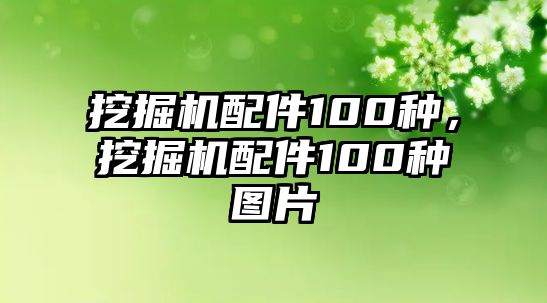 挖掘機配件100種，挖掘機配件100種圖片