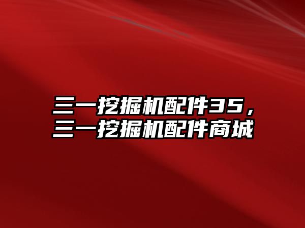 三一挖掘機(jī)配件35，三一挖掘機(jī)配件商城