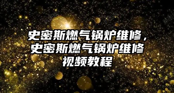 史密斯燃?xì)忮仩t維修，史密斯燃?xì)忮仩t維修視頻教程