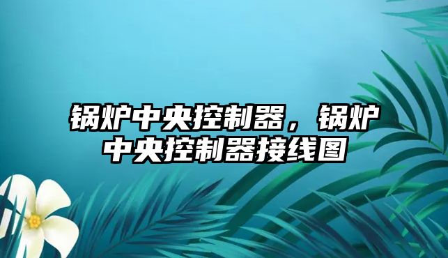 鍋爐中央控制器，鍋爐中央控制器接線圖