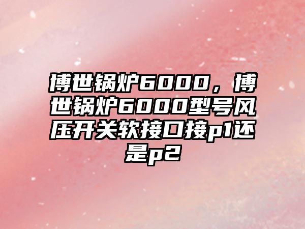 博世鍋爐6000，博世鍋爐6000型號風壓開關軟接口接p1還是p2