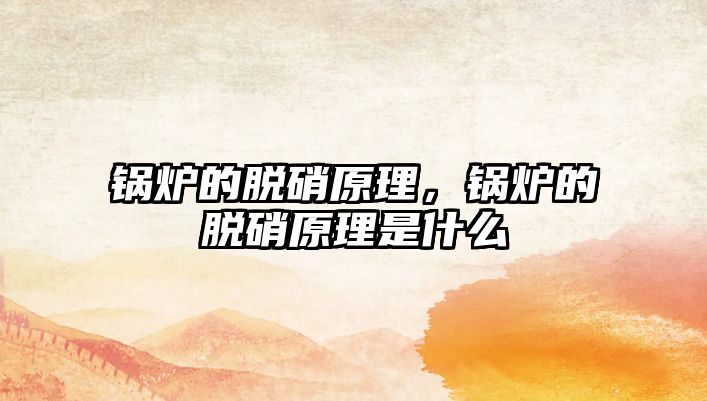 鍋爐的脫硝原理，鍋爐的脫硝原理是什么