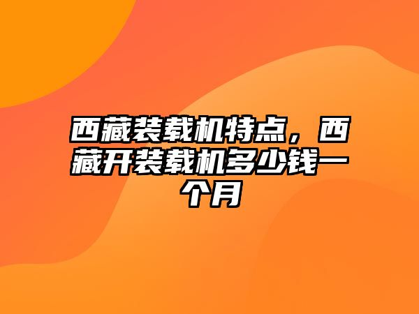 西藏裝載機特點，西藏開裝載機多少錢一個月