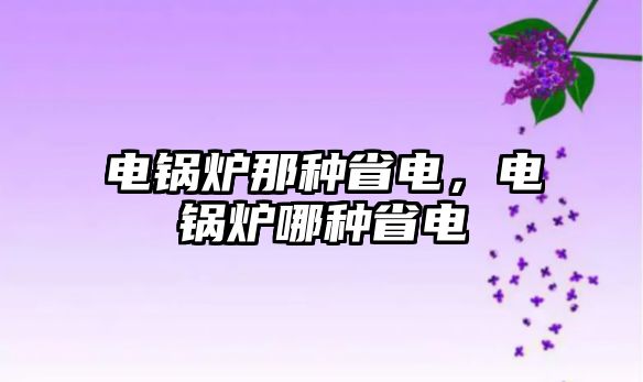 電鍋爐那種省電，電鍋爐哪種省電