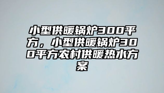 小型供暖鍋爐300平方，小型供暖鍋爐300平方農(nóng)村供暖熱水方案