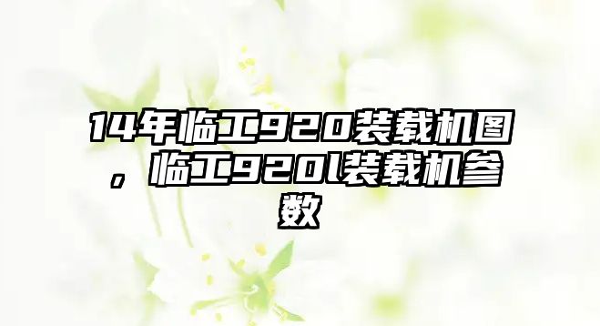 14年臨工920裝載機(jī)圖，臨工920l裝載機(jī)參數(shù)