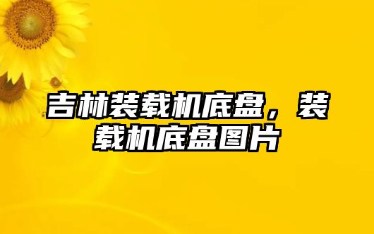 吉林裝載機底盤，裝載機底盤圖片