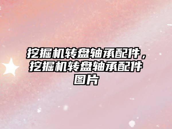 挖掘機轉(zhuǎn)盤軸承配件，挖掘機轉(zhuǎn)盤軸承配件圖片