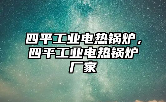 四平工業(yè)電熱鍋爐，四平工業(yè)電熱鍋爐廠家