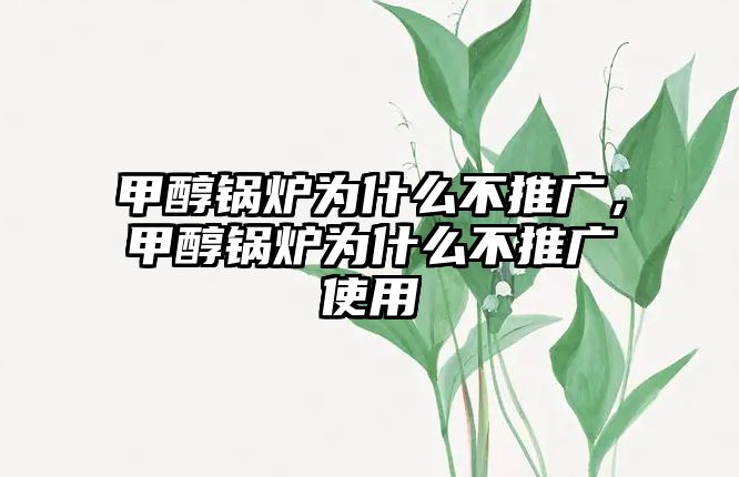 甲醇鍋爐為什么不推廣，甲醇鍋爐為什么不推廣使用