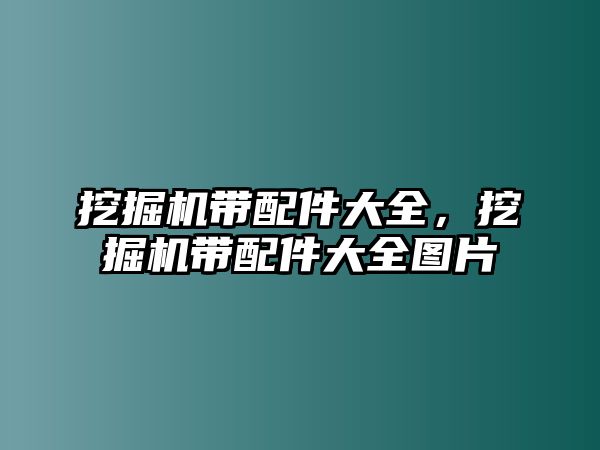 挖掘機帶配件大全，挖掘機帶配件大全圖片