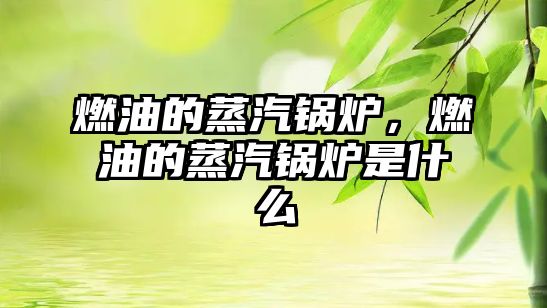 燃油的蒸汽鍋爐，燃油的蒸汽鍋爐是什么