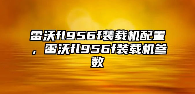 雷沃fl956f裝載機配置，雷沃fl956f裝載機參數(shù)