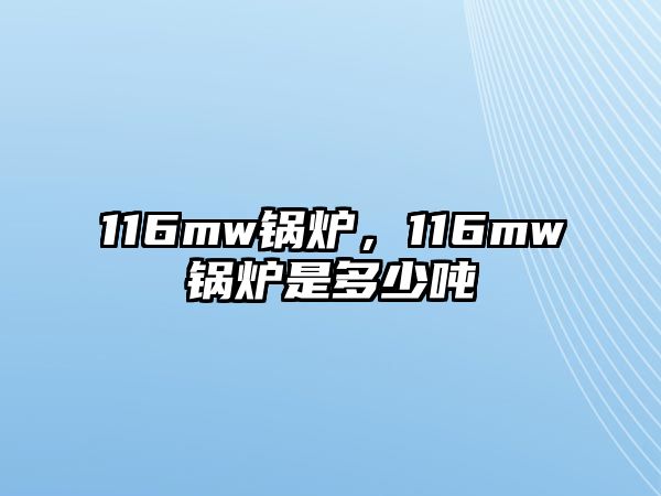 116mw鍋爐，116mw鍋爐是多少噸