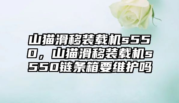 山貓滑移裝載機(jī)s550，山貓滑移裝載機(jī)s550鏈條箱要維護(hù)嗎